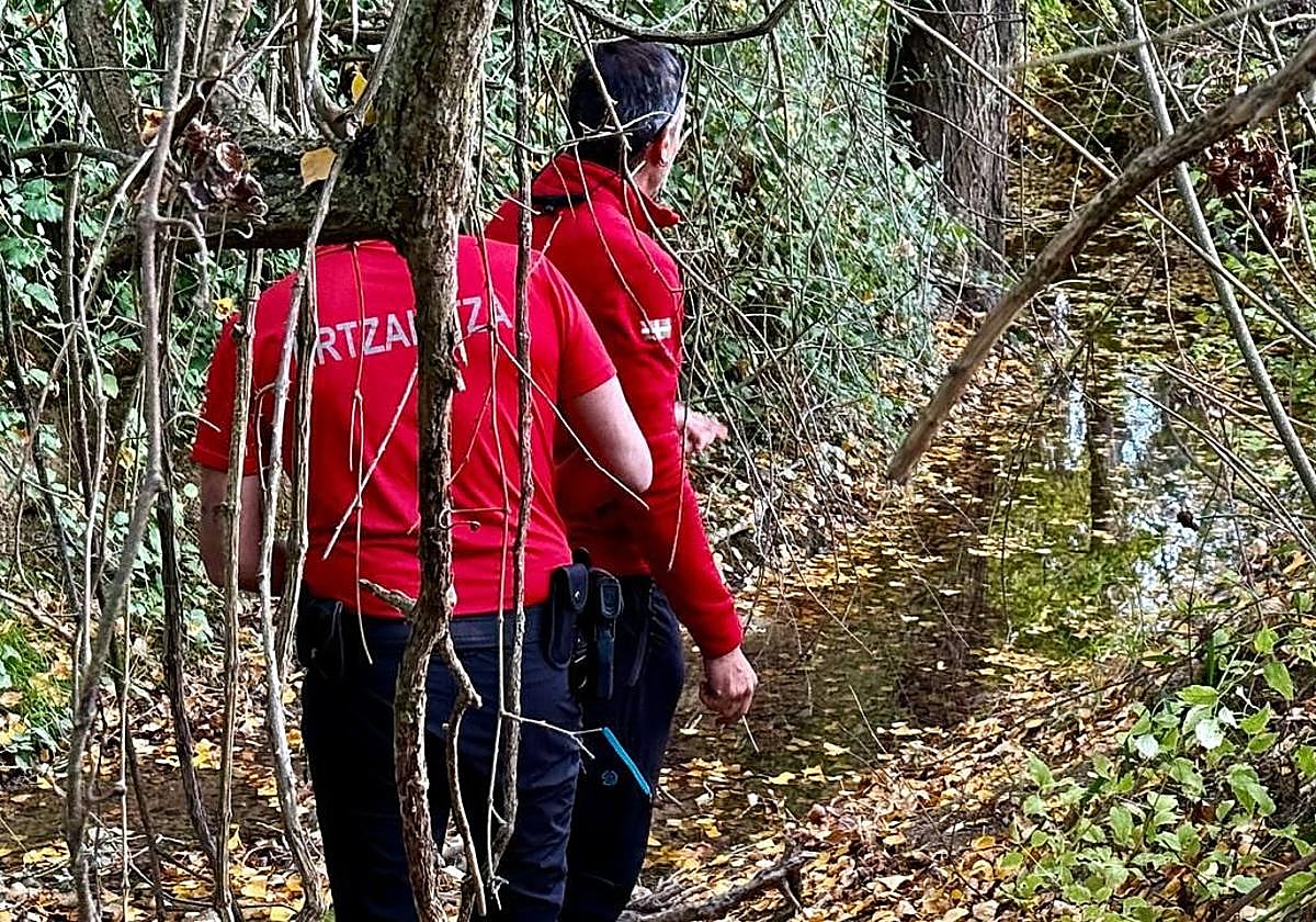 Labores de búsqueda de la Ertzaintza en la zona.