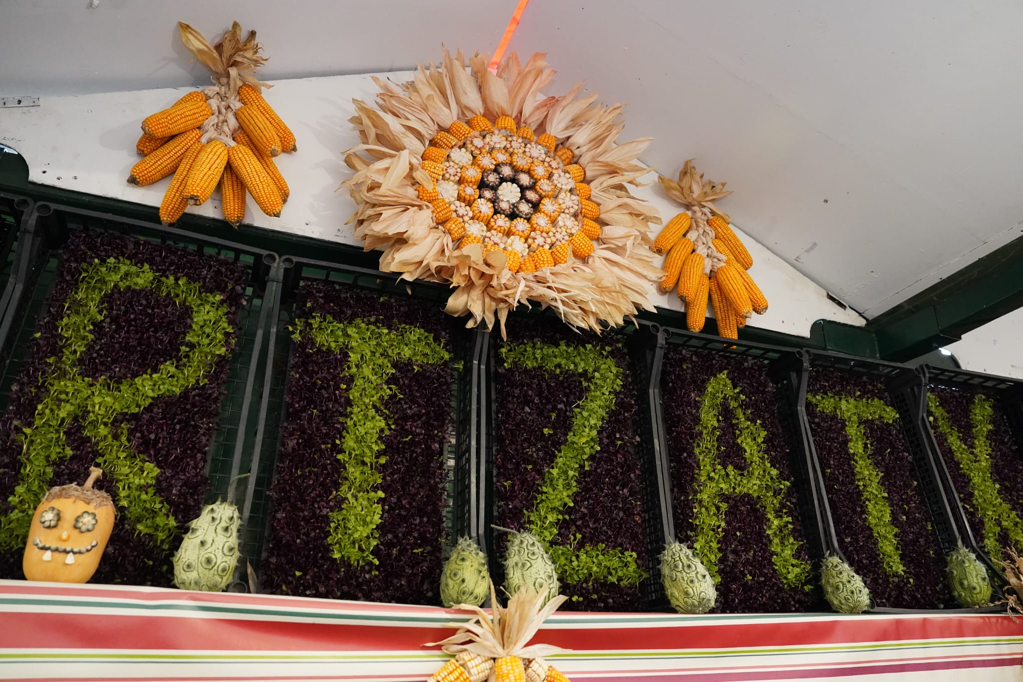 El Último Lunes de Gernika, en imágenes