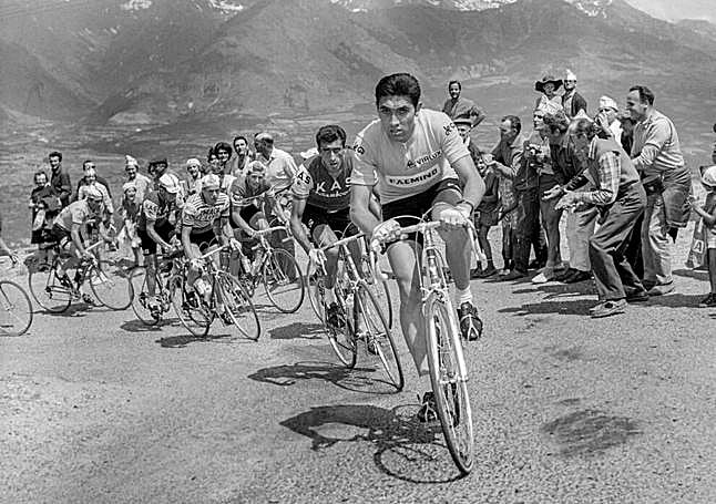 Luis Zubero a rueda de Merckx.