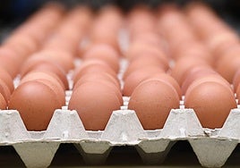 Por qué queremos consumir tantos huevos y proteína: ¿es una moda o es necesaria tanta cantidad?