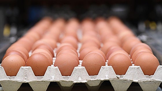 Por qué queremos consumir tantos huevos y proteína: ¿es una moda o es necesaria tanta cantidad?