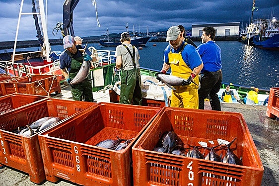 La flota de bajura cierra una de las mejores costeras del bonito en años