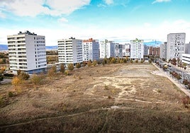 Las zonas donde se construirán los próximos 950 pisos de alquiler social de Vitoria