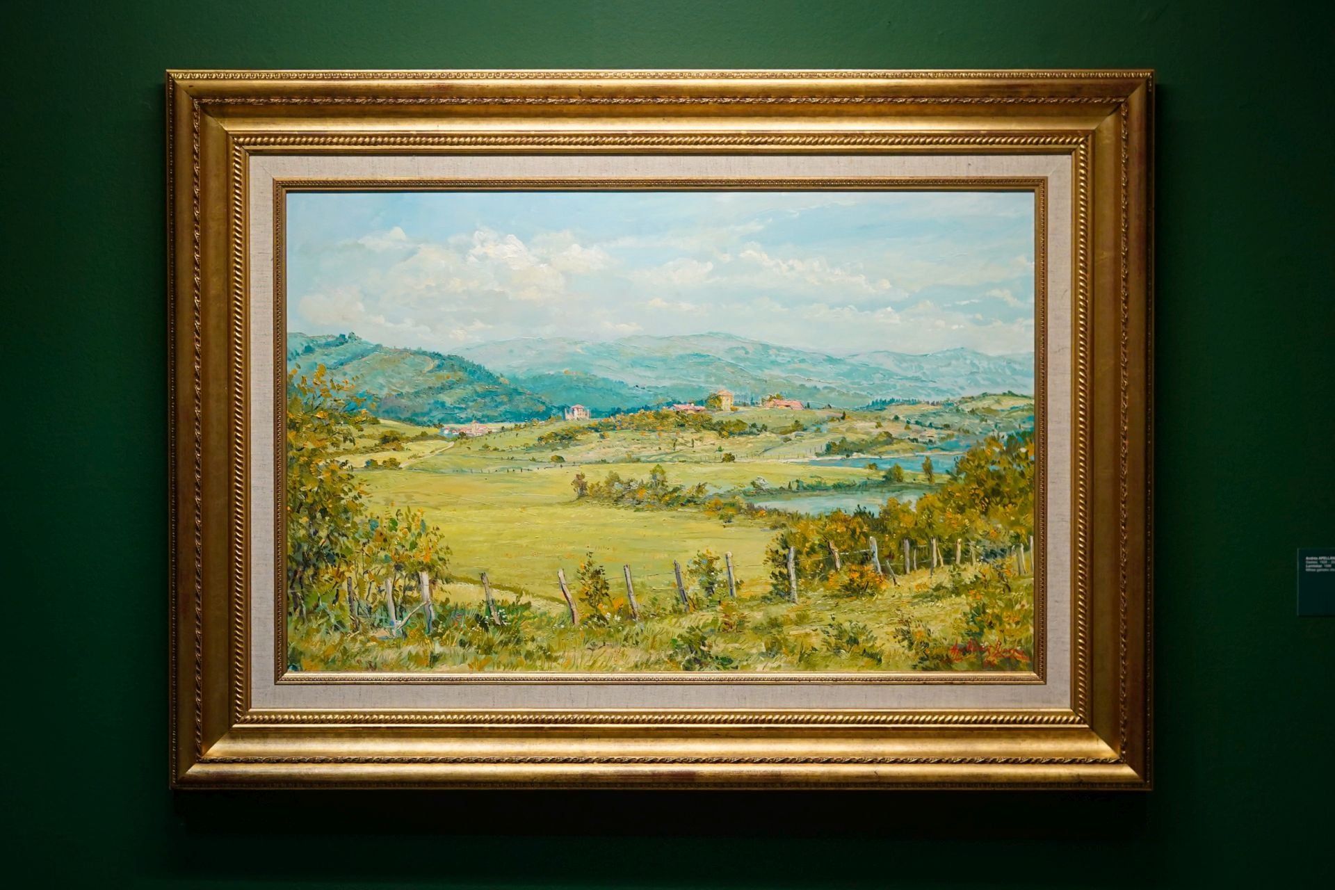 Las imágenes del Bellas Artes de Álava