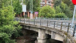 Los trabajos han consistido en la retirada estos elementos vegetales que obstaculizaban el cauce fluvial.
