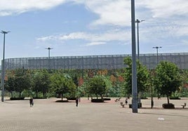 Se esperan colocar una veintena de especies diferentes.