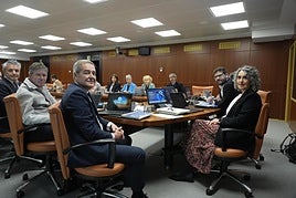 Ibone Bengoetxea, ayer en el Parlamento vasco.