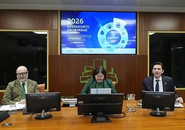 El consejero de Hacienda, Noël d'Anjou, ha presentado este lunes el proyecto en el Parlamento vasco.