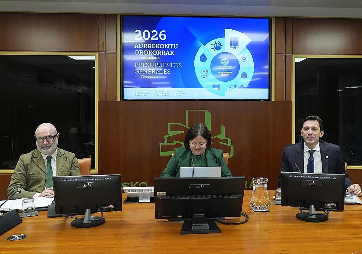 El consejero de Hacienda, Noël d'Anjou, ha presentado este lunes el proyecto en el Parlamento vasco.