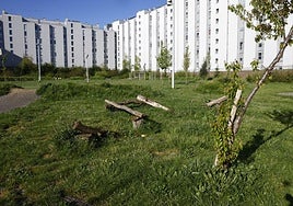 El parque se encuentra en un estado «grave» de abandono, denuncian los vecinos.