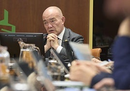 El consejero Juan Ignacio Pérez, en el Parlamento vasco.