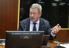 El consejero de Seguridad, Bingen Zupiria, en la comisión de Presupuestos de ayer.