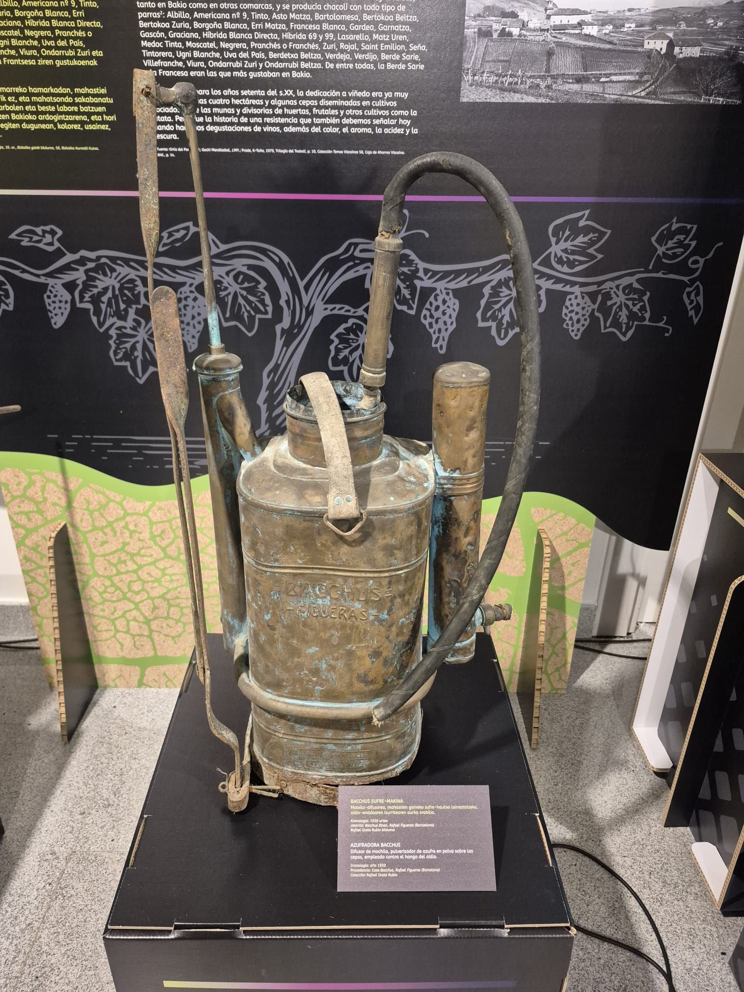 Exposición del Chacolín en Bakio