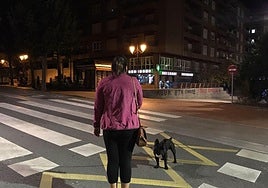 Alumbrado público de Amurrio.