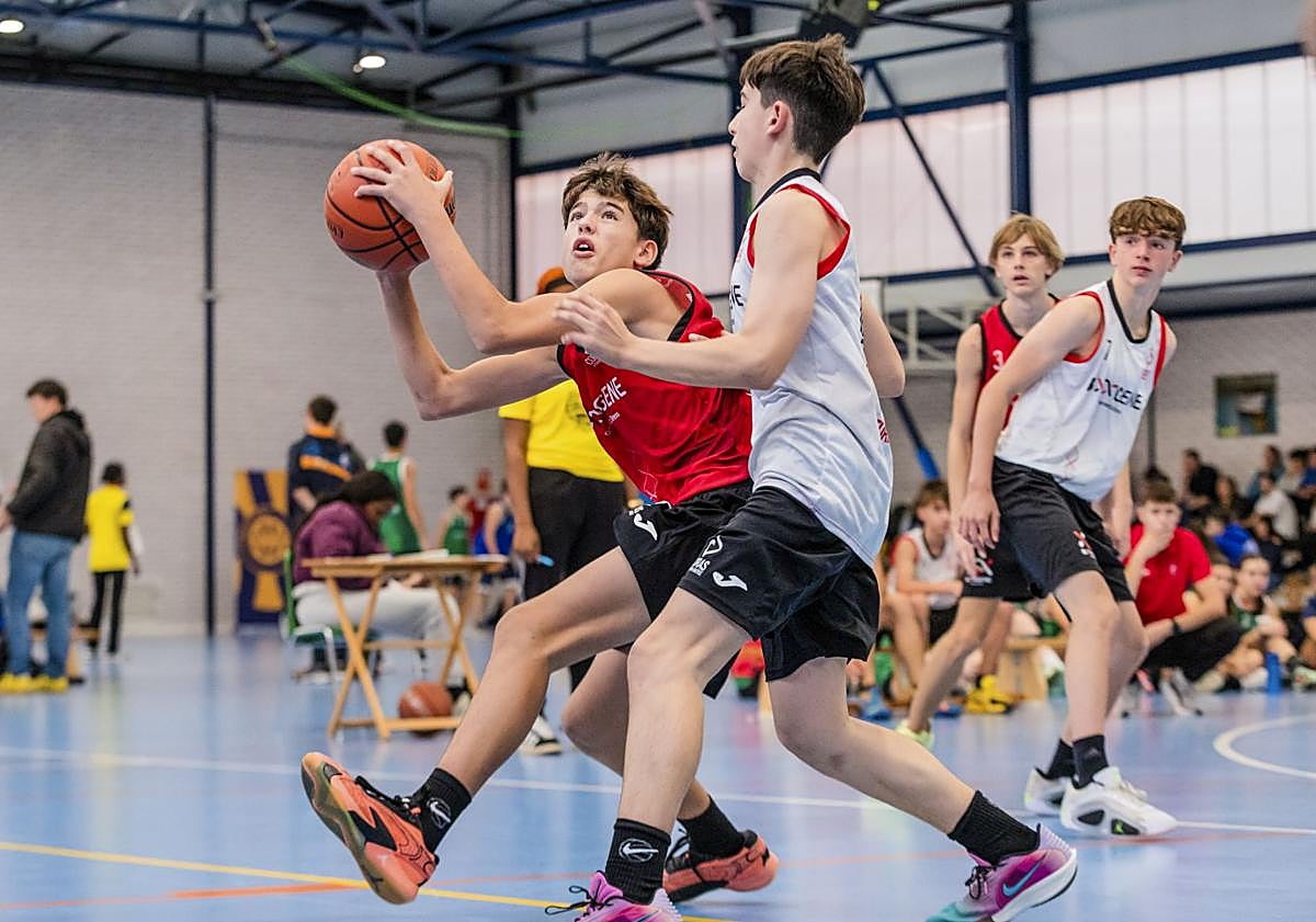 Imagen principal - Una oda al baloncesto más puro