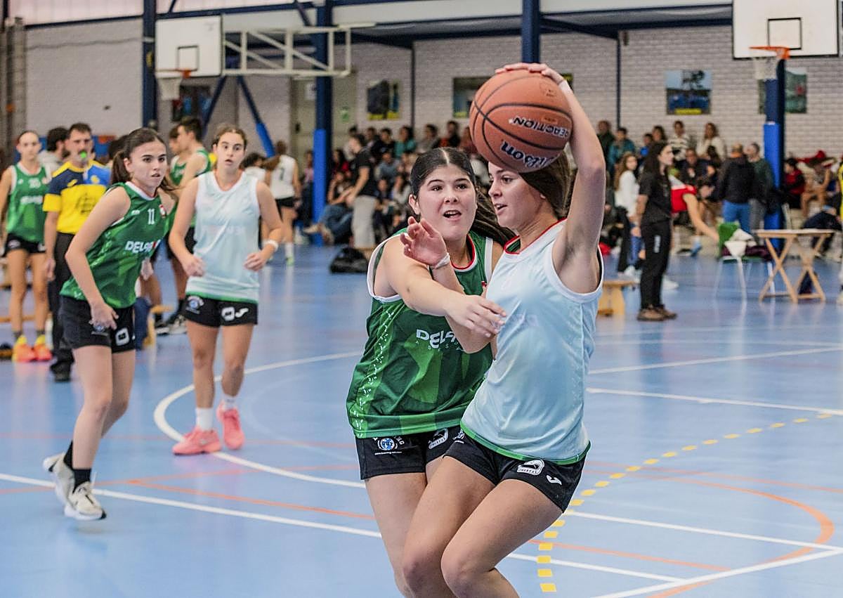 Imagen secundaria 1 - Una oda al baloncesto más puro