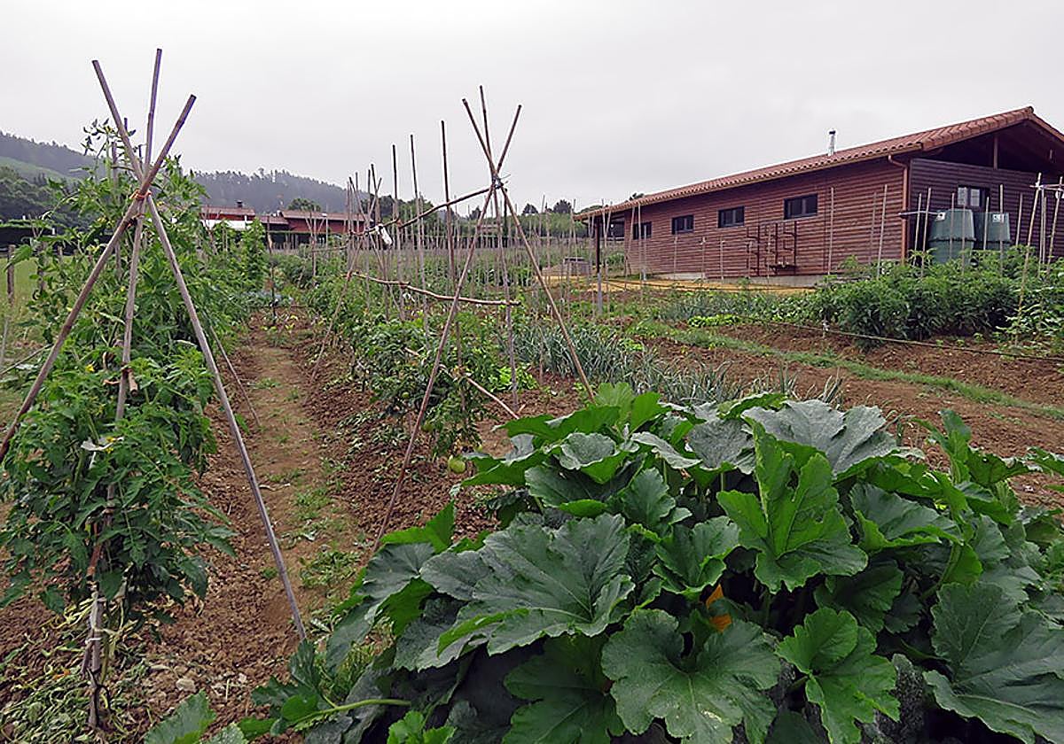 Su uso es gratuito, pero los solicitantes tendrán que abonar una fianza de 100 euros.