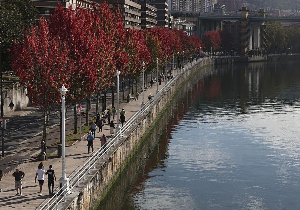 Otra semana marcada por el viento sur: la Aemet señala qué municipios superarán los 20 grados