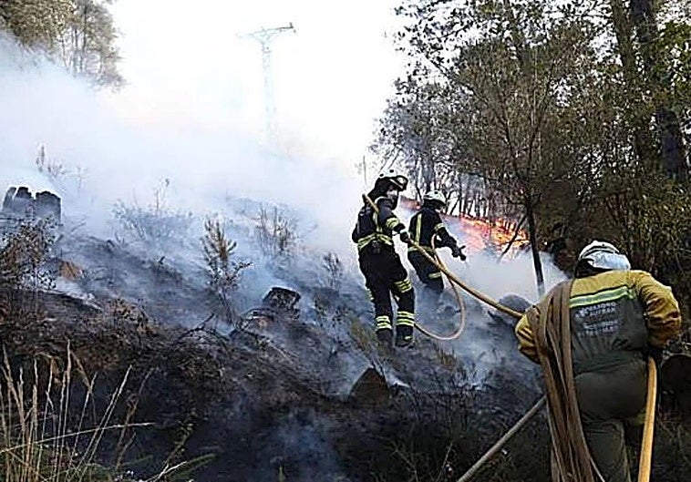 Balmaseda impulsa la reforestación de 85 hectáreas de monte arrasado en el devastador incendio de 2022
