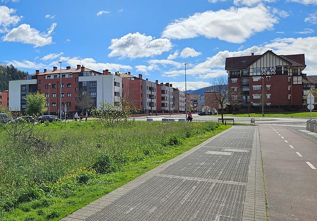 El acceso a un hogar asequible es la principal preocupación de los vecinos.