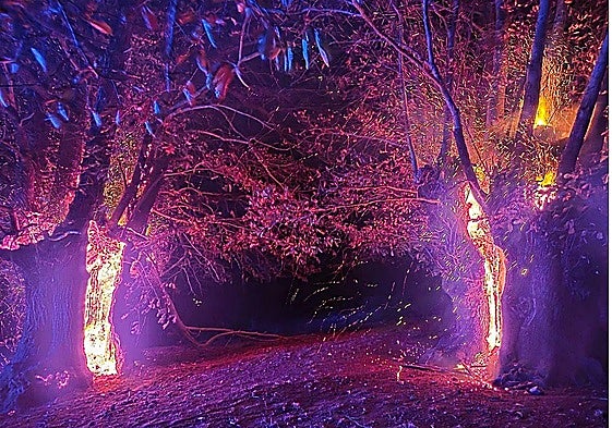 Castaños centenarios de El Habario, pasto de las llamas.