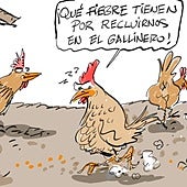 La viñeta de Cerrajería sobre el confinamiento de las aves de corral
