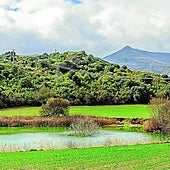 La laguna dibuja un círculo casi perfecto rodeado de carrizos.