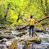 El agua limpia discurre por Irati entre el verde musgo aposentado al pie de los árboles.