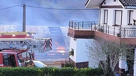 33 vacas muertas en el incendio de una cuadra de Carranza en una noche de mucho viento en la zona