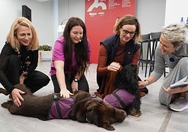Koko y Pantxita, dos de los canes que apoyan a los menores víctimas de abuso.