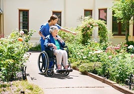 Expertos en dependencia en Álava: los mejores servicios para mayores y familias