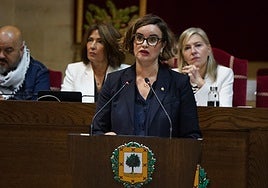 Etxanobe, en un pleno en Gernika