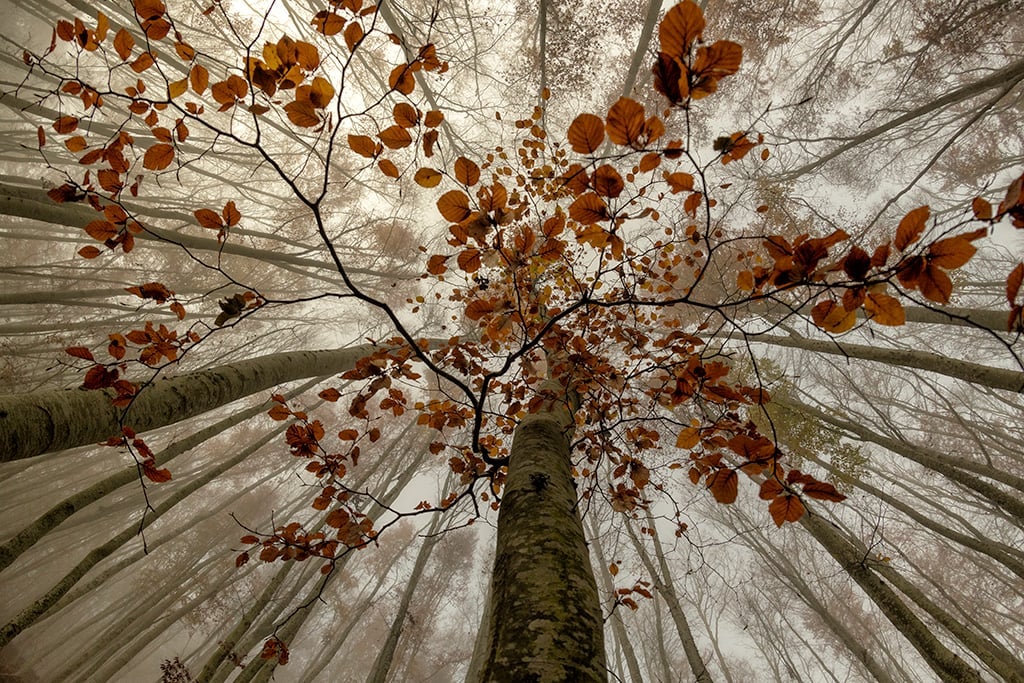 'Contrapicado' es la instantánea seleccionada para el reconocido certamen 'Argizaiola'.