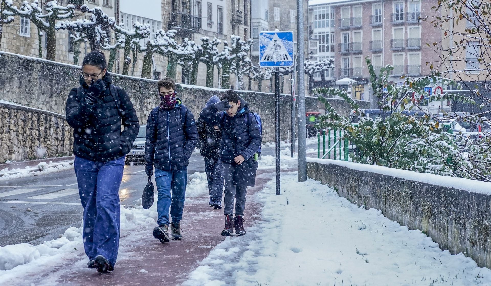 Las imágenes de un día de nieve en Álava