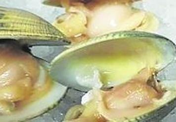 Almeja semi pequeña