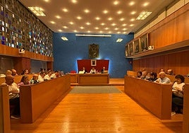 Imagen de una sesión plenaria celebrada este año.