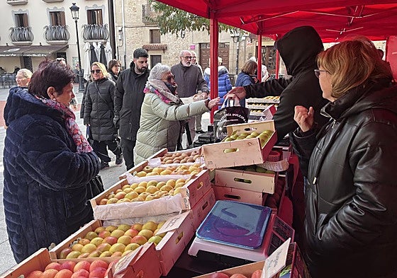 En la Plaza de España.