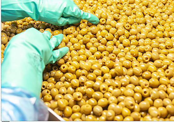 La ciudad que metió una anchoa en una aceituna