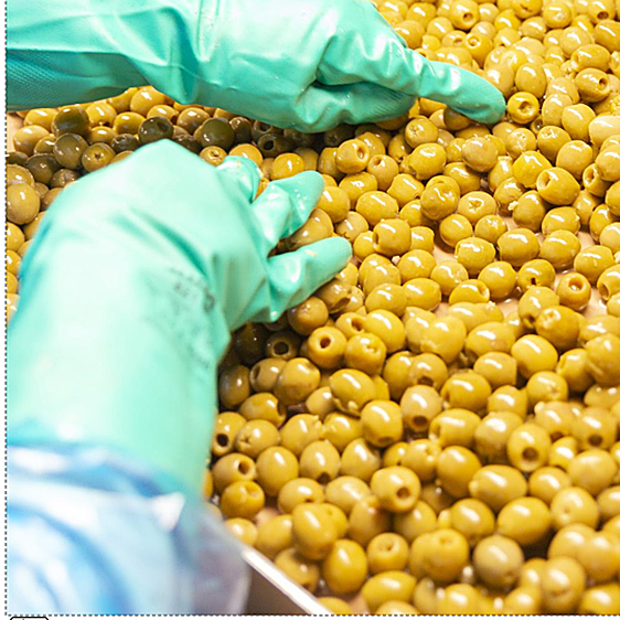 La ciudad que metió una anchoa en una aceituna