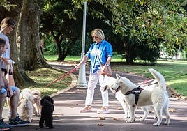 Desde la entrada en vigor de la ordenanza han quedado prohibidas las correas extensibles.