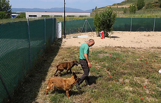 Un total de 216 animales fueron recogidos en las calles de Miranda durante el pasado ejercicio