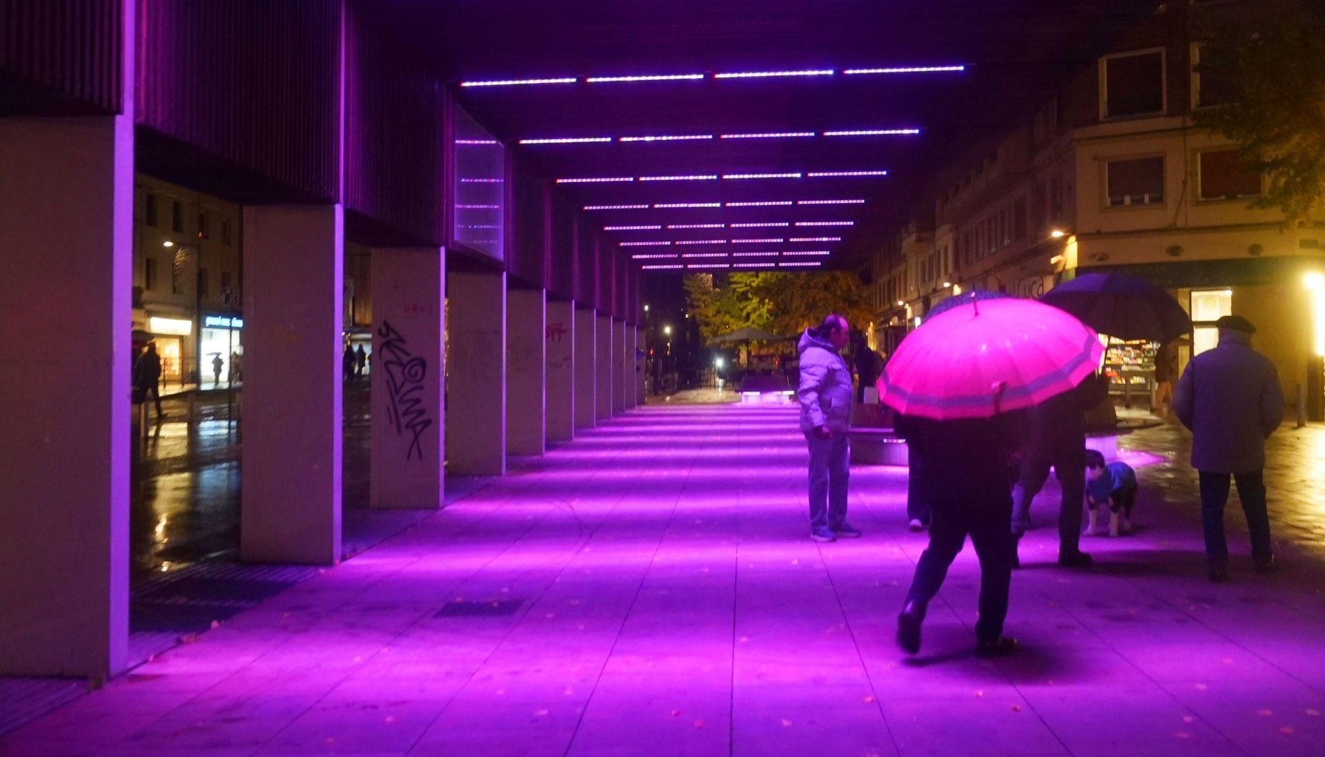 Vitoria se ilumina de morado