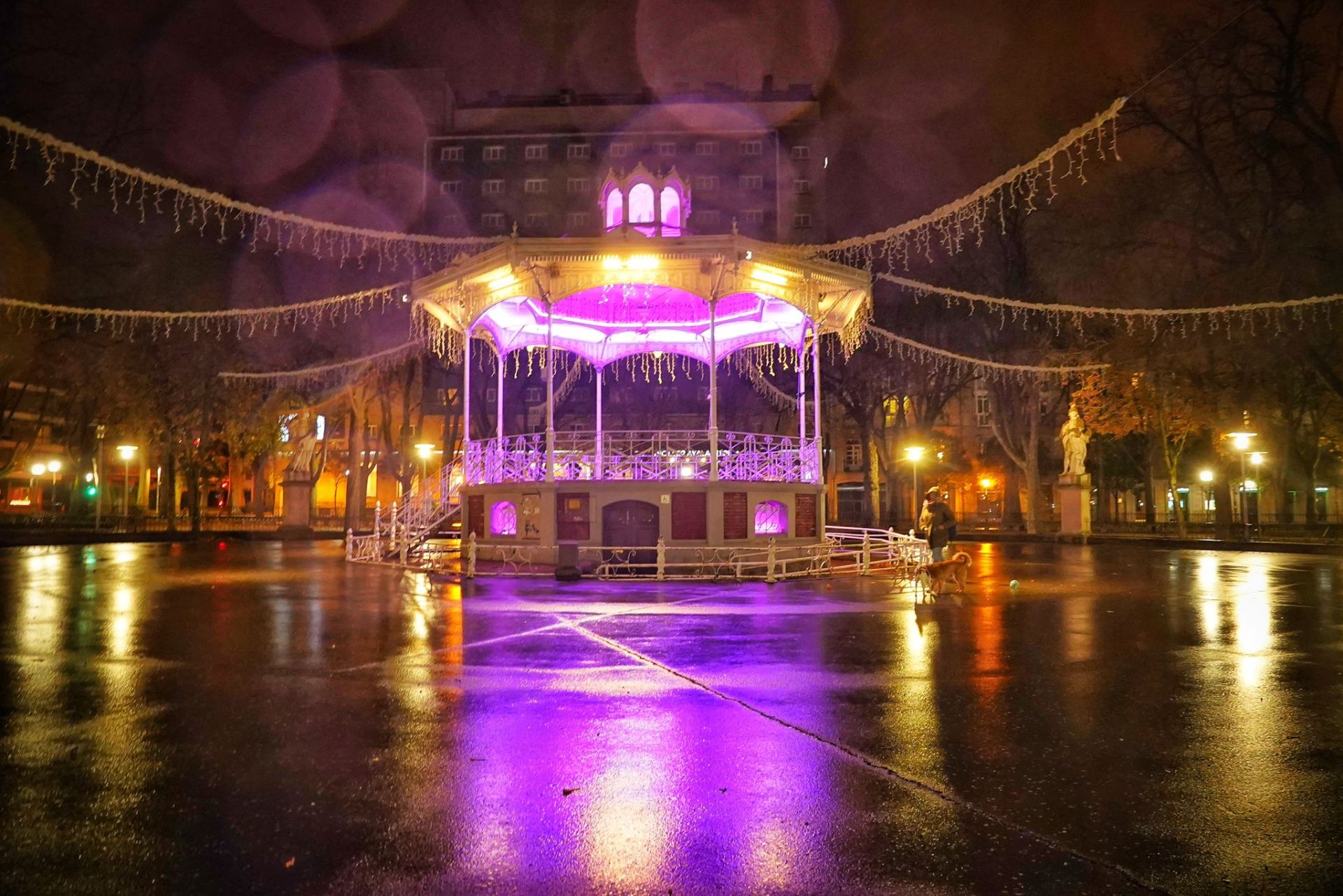 Vitoria se ilumina de morado