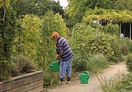 El huerto de Salburua se une a los ya existentes en Abetxuko, Lakua, Zabalgana y Borinbizkarra.