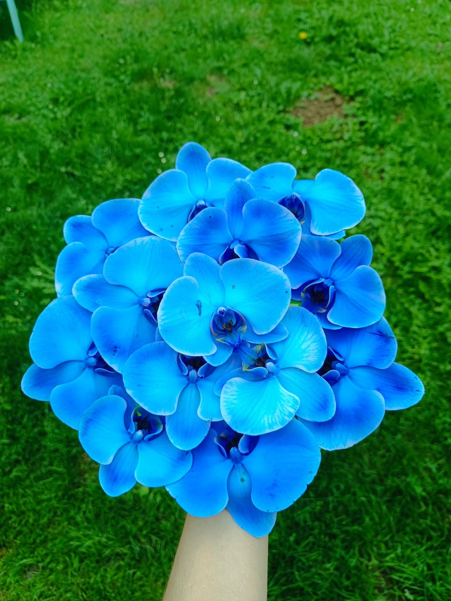 Alba dejó su trabajo fijo en la oficina para crear joyas con más de 100 orquídeas… y hasta con piparras