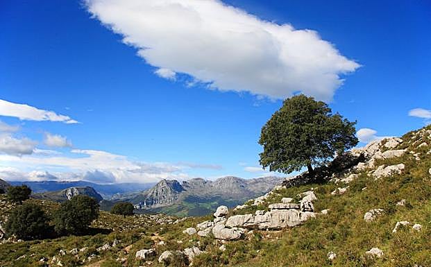 Vistas del Parque Natural de Armañón.