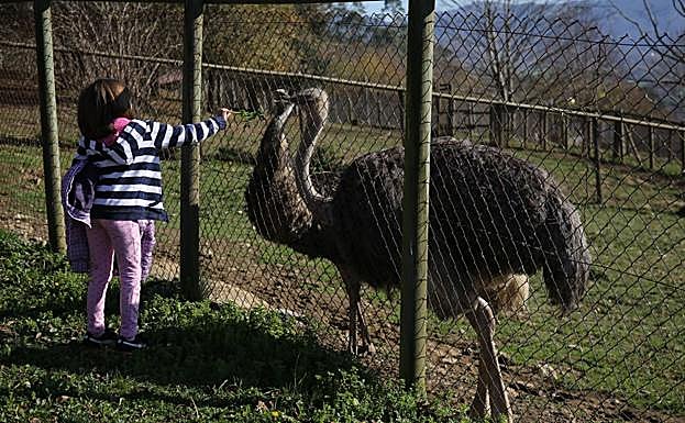 Los niños disfrutan en el Karpin.