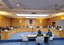 Sesión plenaria en el Ayuntamiento de Basauri.