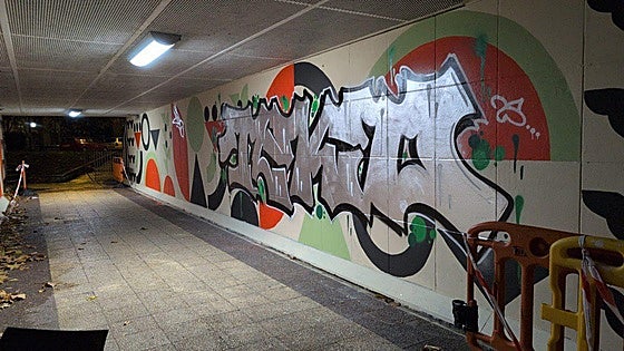 Vitoria impone la sanción más alta a un grafitero, con 6.000 euros