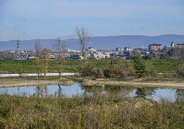 Los paseos alrededor de la balsa serán sin duda uno de los principales atractivos del futuro parque.